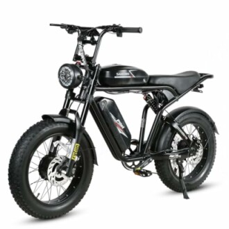 SAMEBIKE 20 inch e-bike