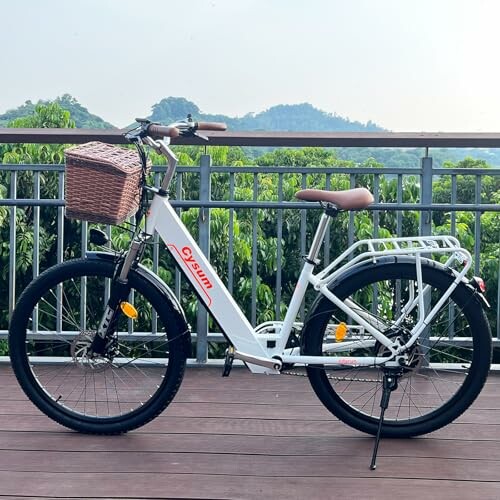 Cysum 250W Elektrische Stadsfiets